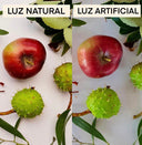 5 TIPS PARA LOGRAR FOTOS DISTINTAS