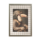 Serie Old Animal Vichy Loro