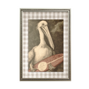 Serie Old Animal Vichy Pelícano