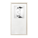 Benjamín Figueroa Marco Albayalde Ave perrito