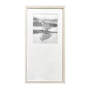 Benjamín Figueroa Marco Albayalde Ave chorlo magallanico