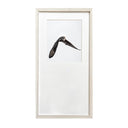 Benjamín Figueroa Marco Albayalde Ave nuco