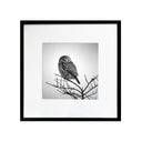 Benjamín Figueroa A Negro Pequen