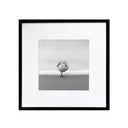 Benjamín Figueroa A Negro Playero Blanco