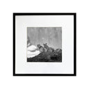 Benjamín Figueroa A Negro Pumas