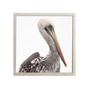 Benjamín Figueroa Marco Albayalde Cuerpo pelicano