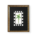 Botanicos Kitch banana palm 2