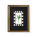 Botanicos Kitch banana palm 1