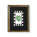 Botanicos Kitch monstera