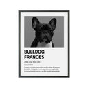 Perro Razas Icónicas Bulldog Francés