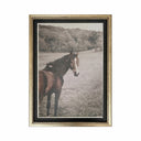 Caballo salvaje sobre lona