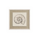 Conchitas Espiral.