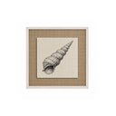Conchitas Torre.