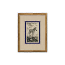 Estampillas Animales Ashford