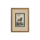 Estampillas Animales Beaumont