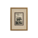 Estampillas Animales Cavendish