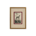 Estampillas Animales Montclair