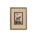 Estampillas Animales Montgomery