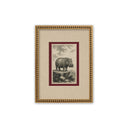 Estampillas Animales Rothwell