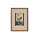 Estampillas Animales Westwood
