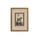 Estampillas Animales Whitmore