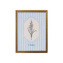 Flores Rayadas Gladiolus