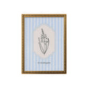 Flores Rayadas Ornithogalum