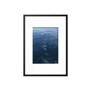 Fotos ballenas dron vertical