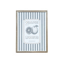 Frutas Rayadas Naranja