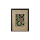 Frutas tropicales guayaba