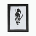 Impresión Sobre Tela Tropical 1