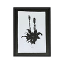 Impresión Sobre Tela Tropical 2