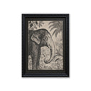 Lona Animales Elefante.