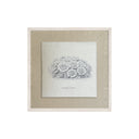 Lona Coral Flower