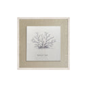 Lona Coral Mushroom