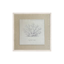 Lona Coral Staghorn