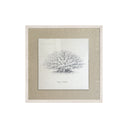 Lona Coral Tree
