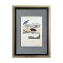 Grabado Círculo Con Textura Azul Gris