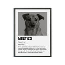 Perro Razas Icónicas Mestizo