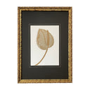 Natalia Ogaz Greca Oro PP Negro Cala