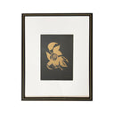 Natalia Ogaz M 2020 Oro PP Blanco Granada Vertical