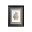 Natalia Ogaz Serie Paspartú y Fondo Hoja