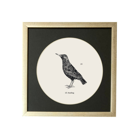 Pájaros circulares plata elegante 15