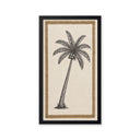 Palmera Cocotera.