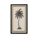 Palmera Curva.