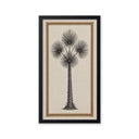 Palmera Estrella.