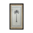 Palmeras Lonas 07