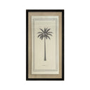 Palmeras Lonas 01