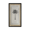 Palmeras Lonas 03