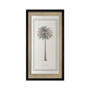 Palmeras Lonas 04
